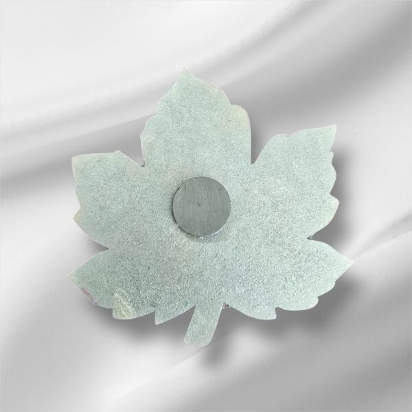 Photoroom_20241229_162926 Photoroom_20241229_162926