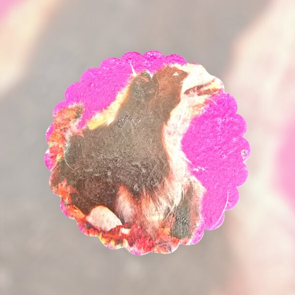 Photoroom_20241229_163526