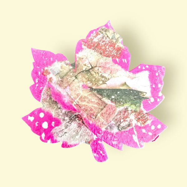 Photoroom_20241229_163701 Photoroom_20241229_163701