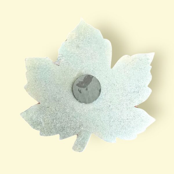 Photoroom_20241229_163747 Photoroom_20241229_163747